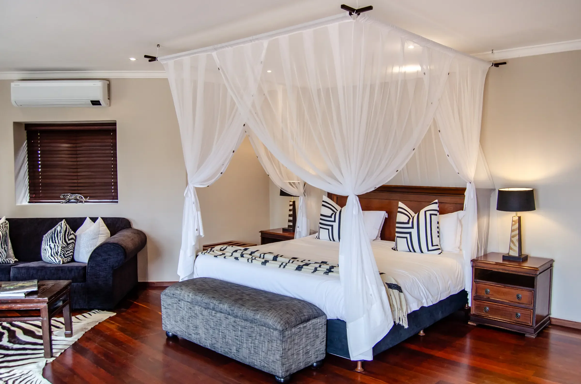 Zebra_DSC_0174.webp