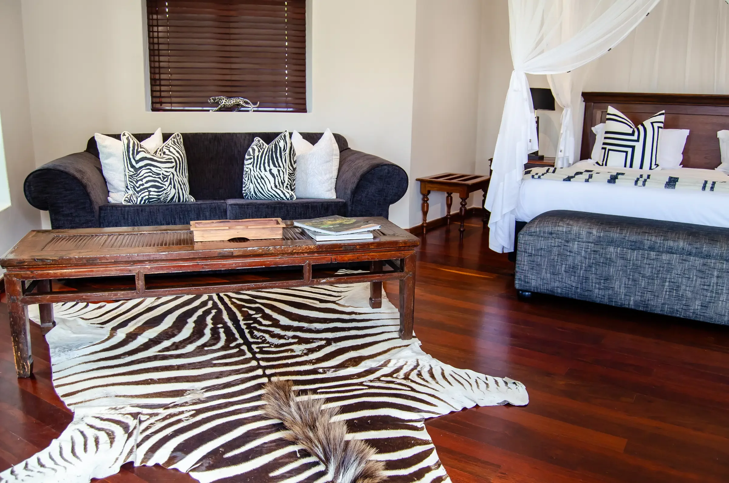 Zebra_DSC_0190.webp
