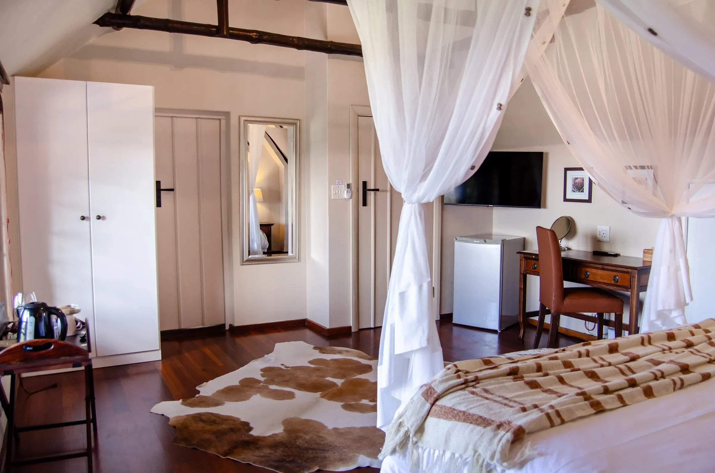 Nguni_DSC_0196 (1).webp