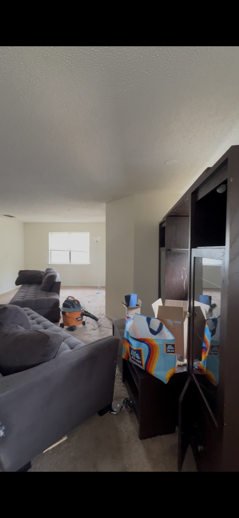 Living room with two gray sofas, a window, a floor lamp, and cleaning equipment including a vacuum and a wet/dry vacuum, with various boxes and items on a dark bookshelf or cabinet.