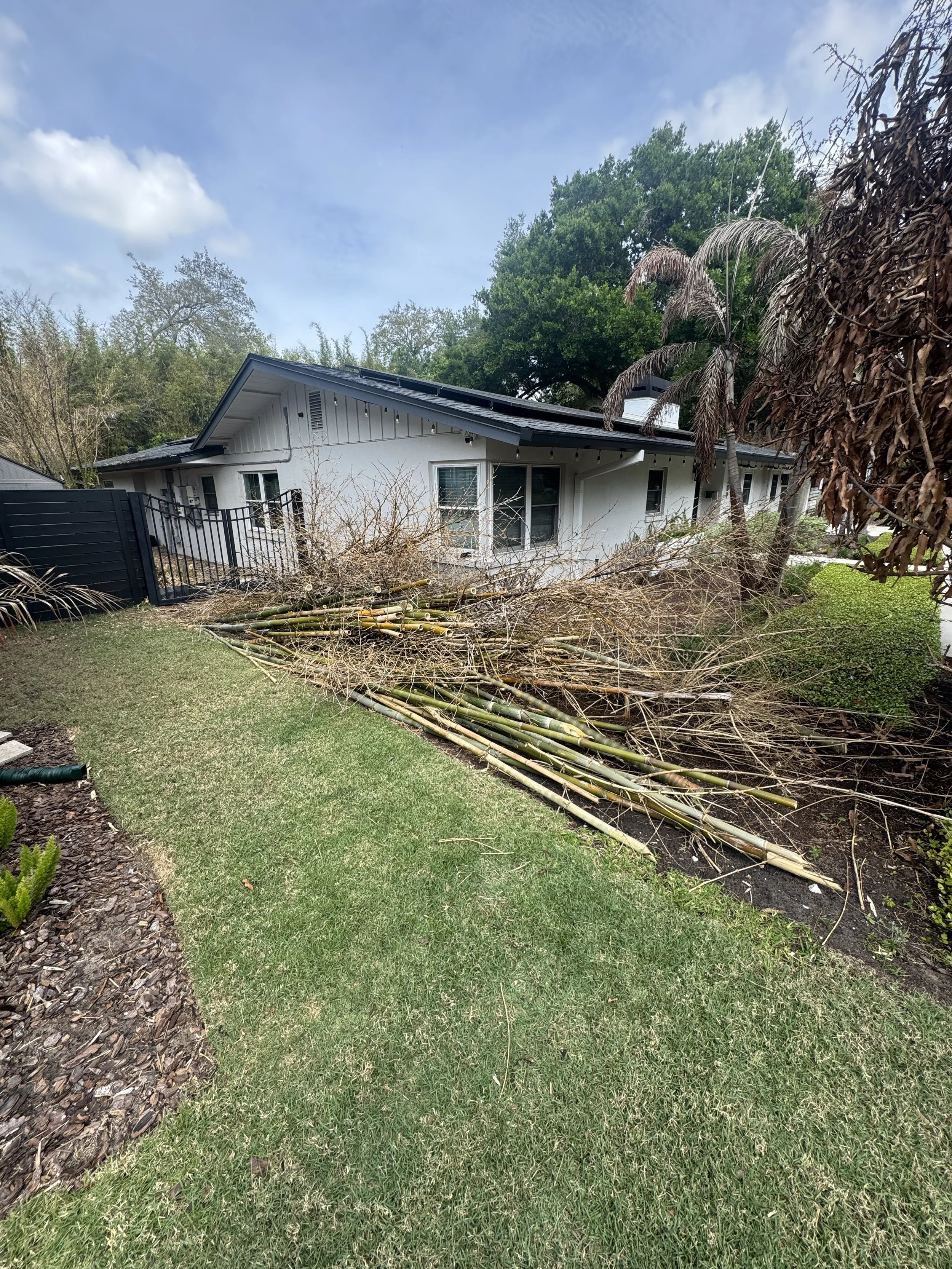 A house with a black fence, surrounded by green grass and trees, with debris and fallen branches in the yard.