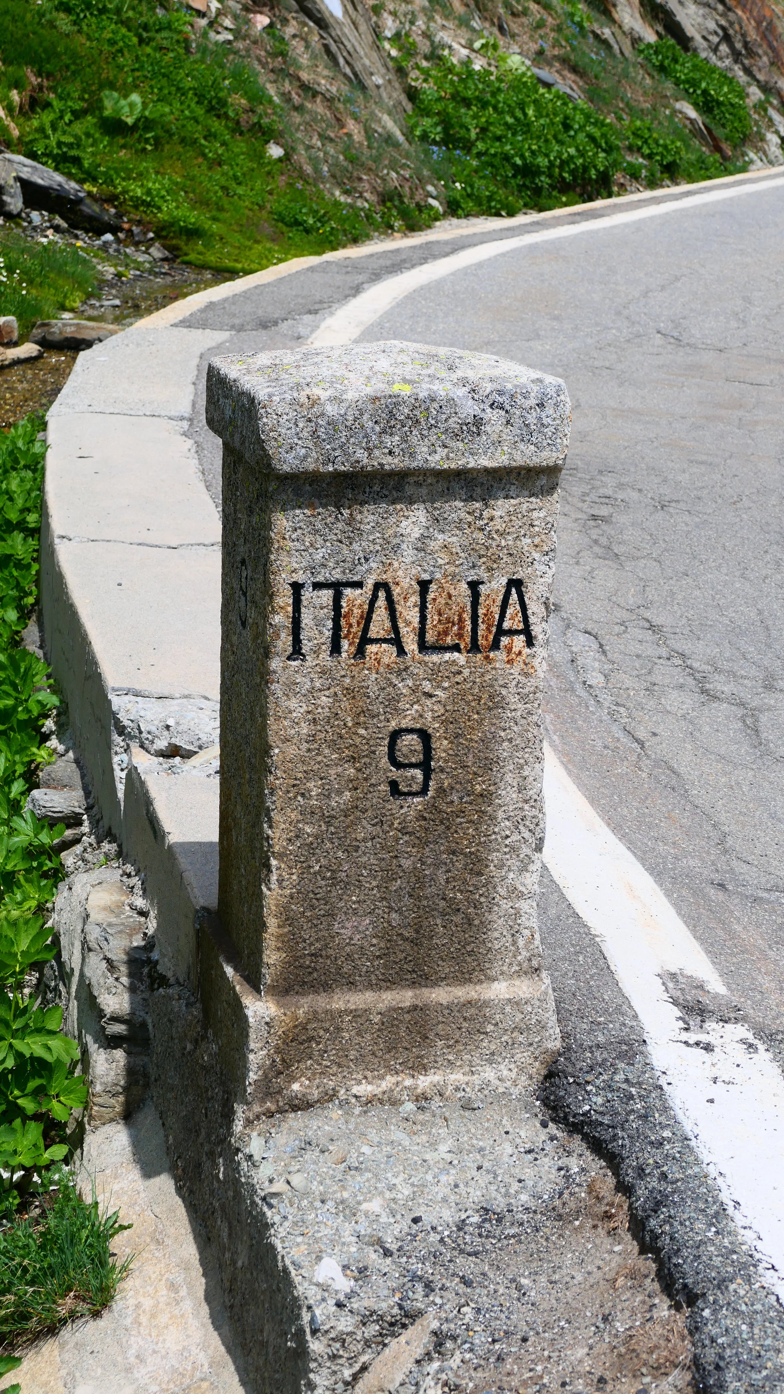 P1013272.JPG