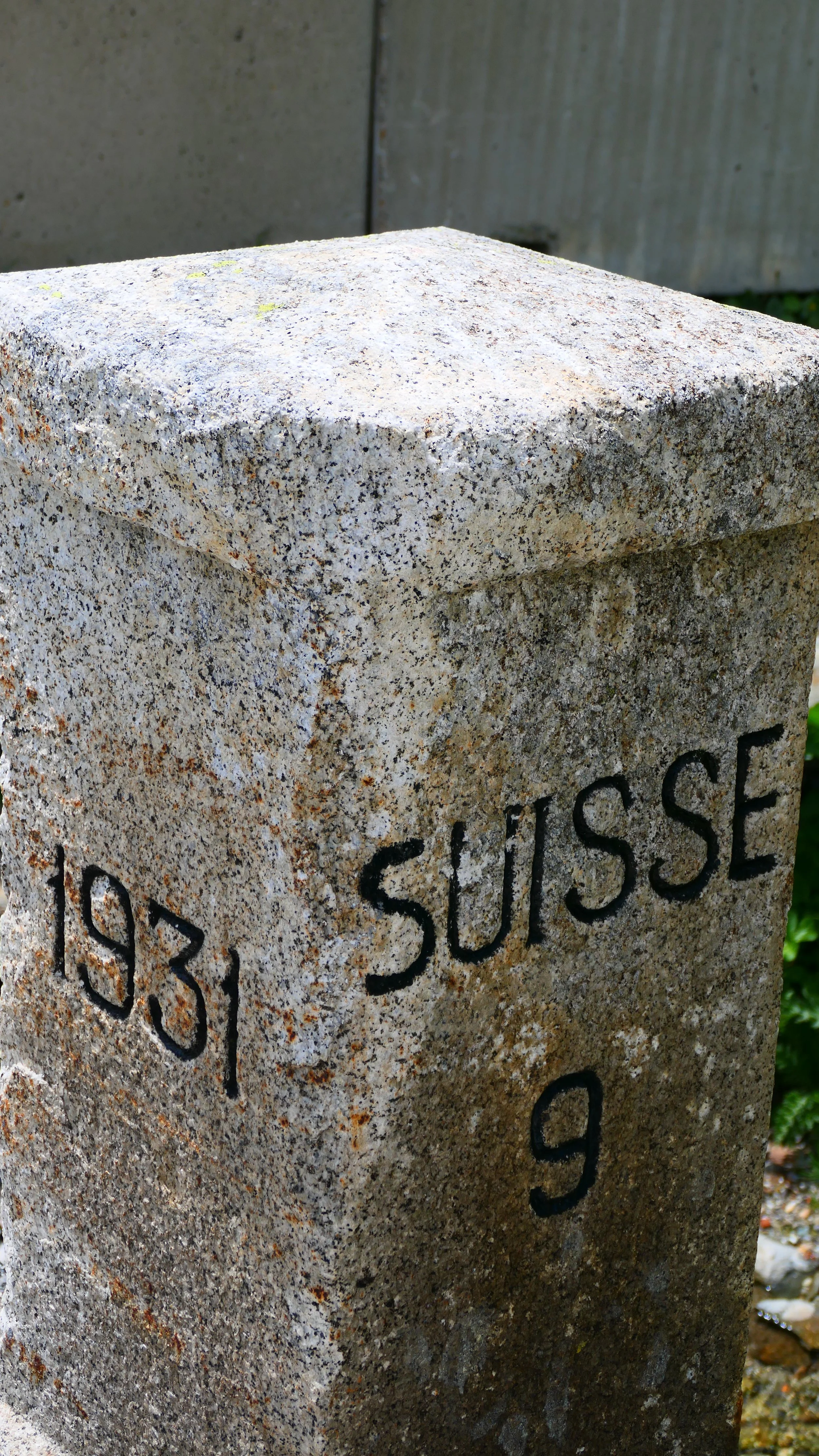 P1013273.JPG