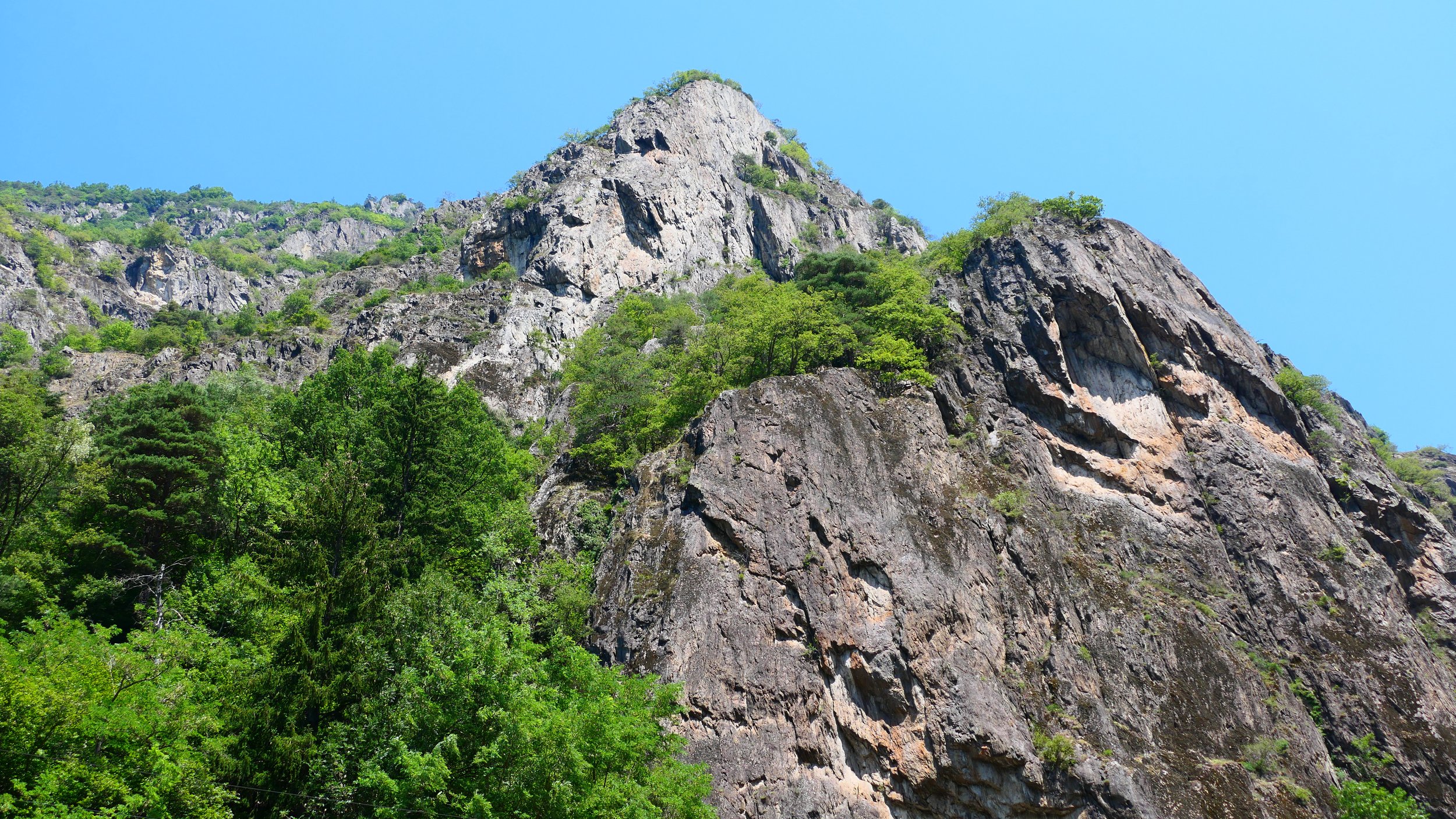P1013257.JPG