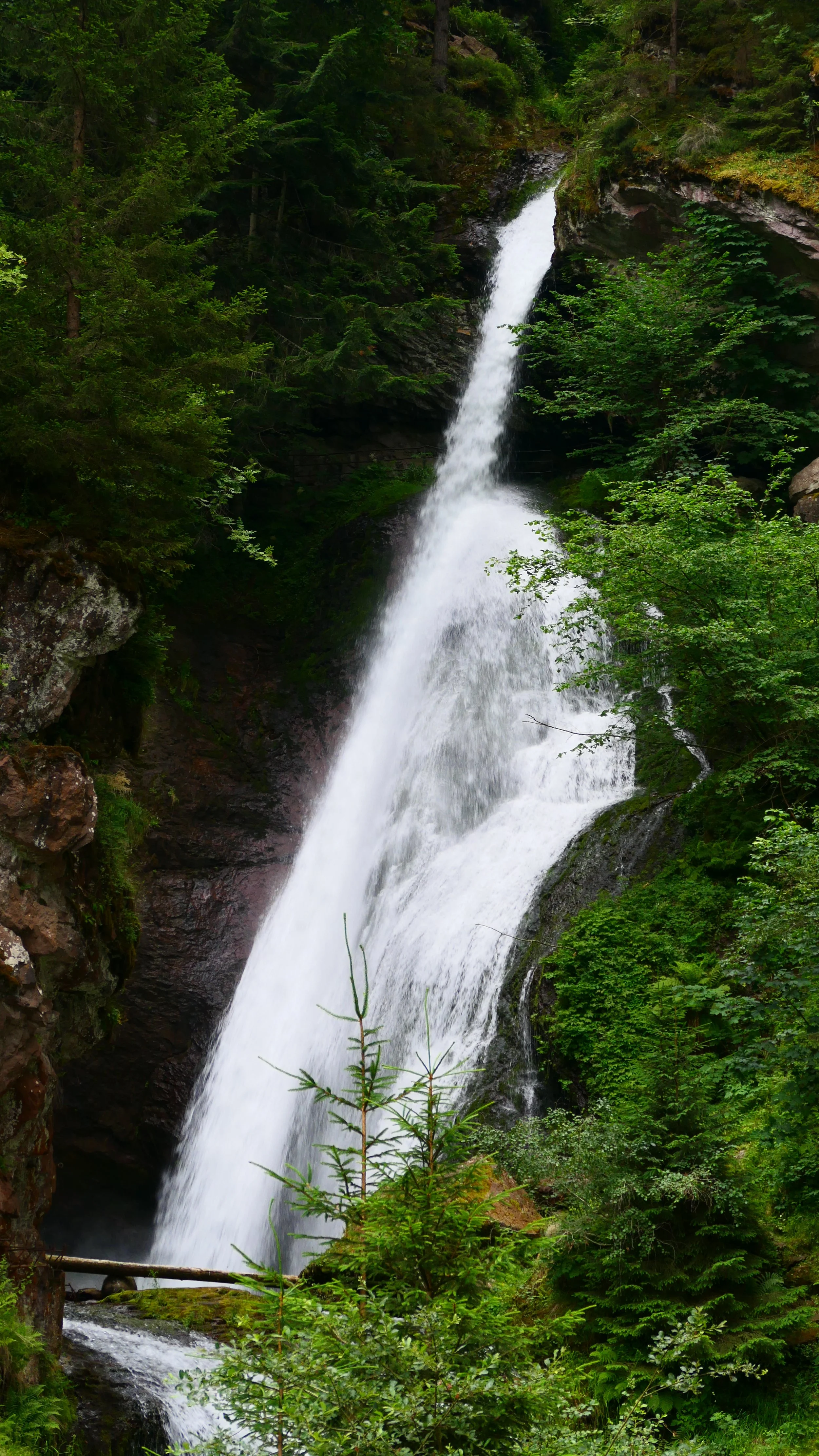 P1013361.JPG