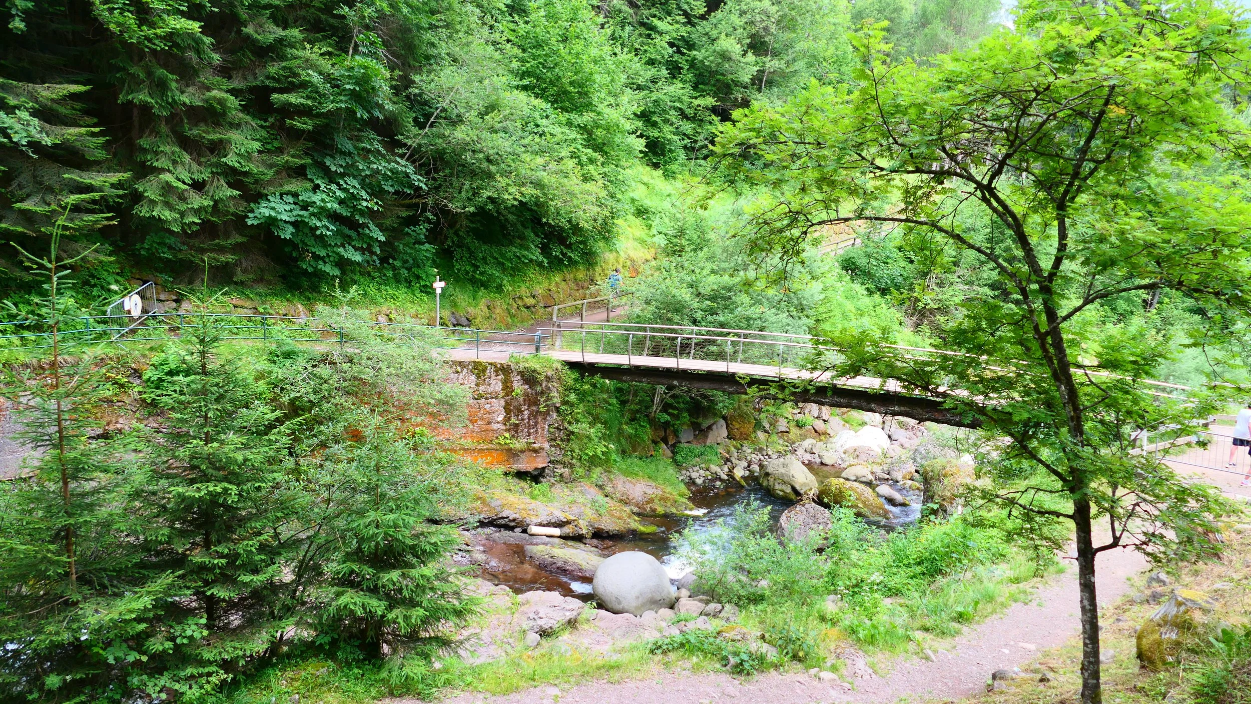 P1013365.JPG