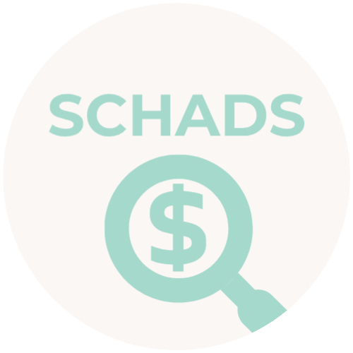 A circular icon with the word 'SCHAD' and a magnifying glass with a dollar sign inside.