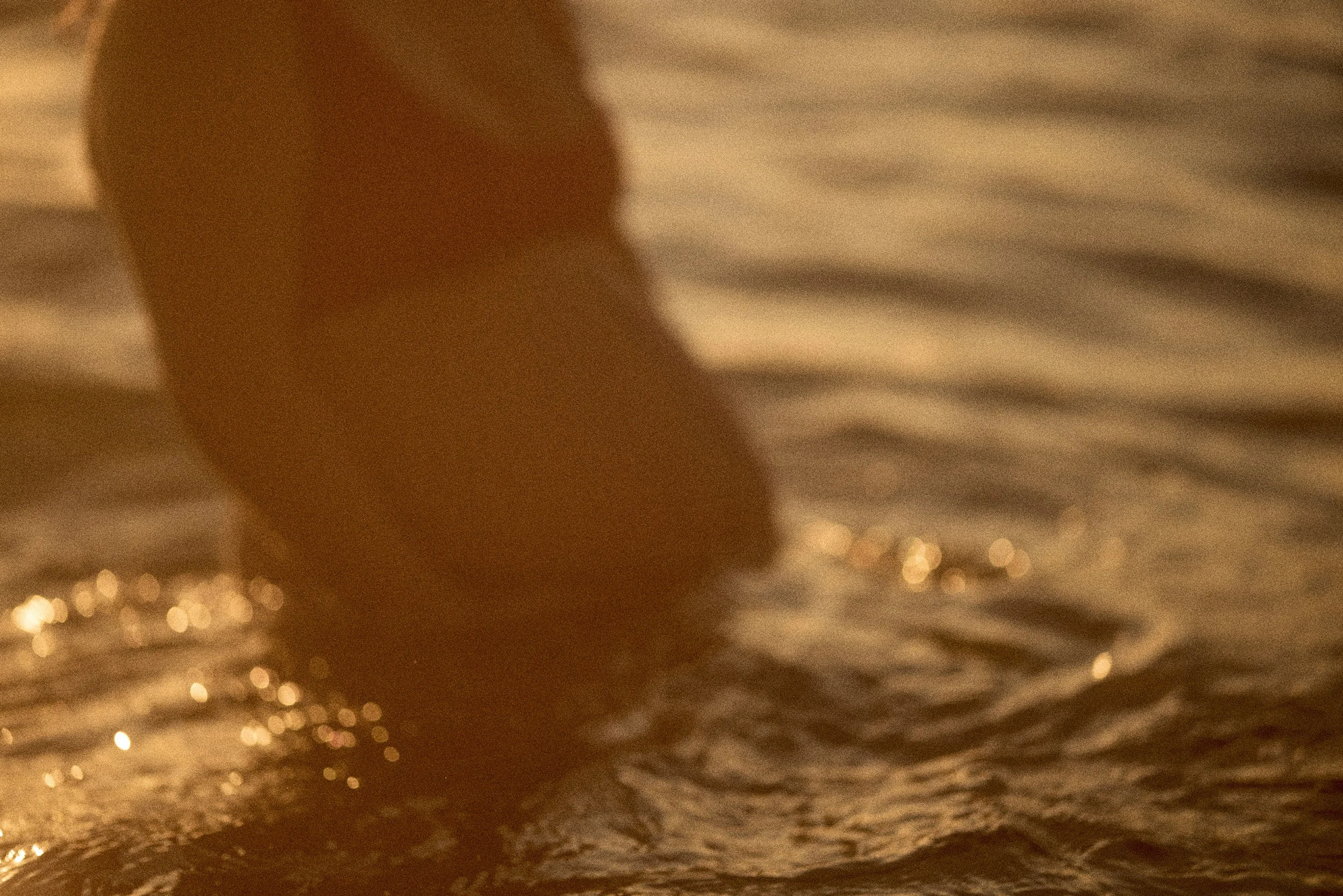 Ella Martin is a Sydney based artist and photographer. She specialises in pregnancy and family photography