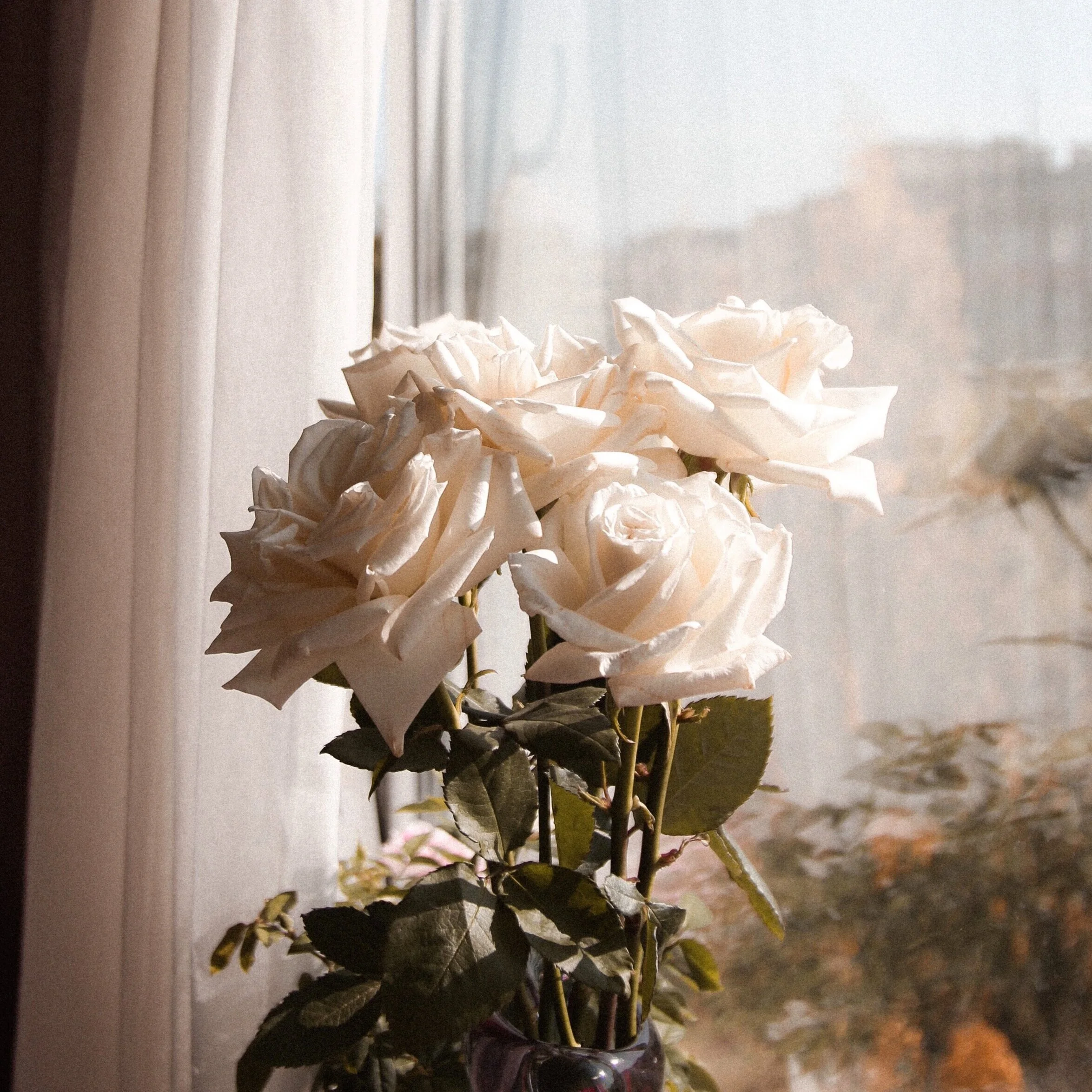 How to keep Therapy Gains Going + Prevent Relapse in Symptoms