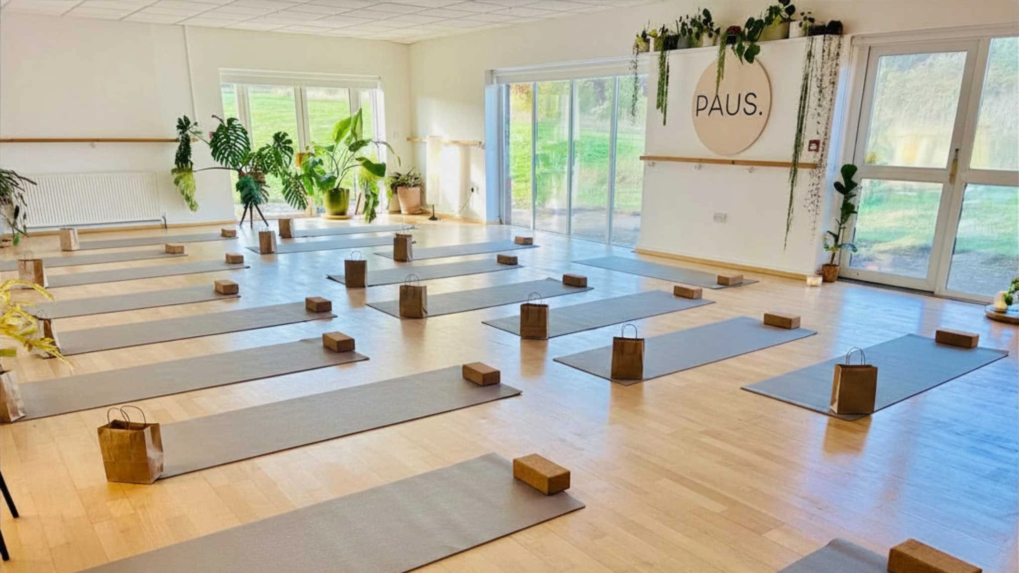 Yoga studio with mats arranged on wooden floor, each secured with bricks, tall windows with greenery outside, plants on window sills, a sign on the wall reads 'PAUS.'