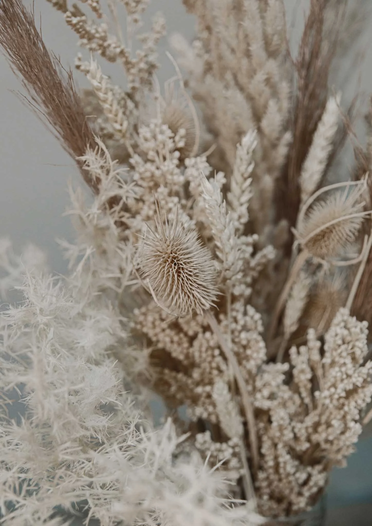 Close-up of dried, white and earthy-toned botanical arrangements, including thistles, grasses, and wildflowers.