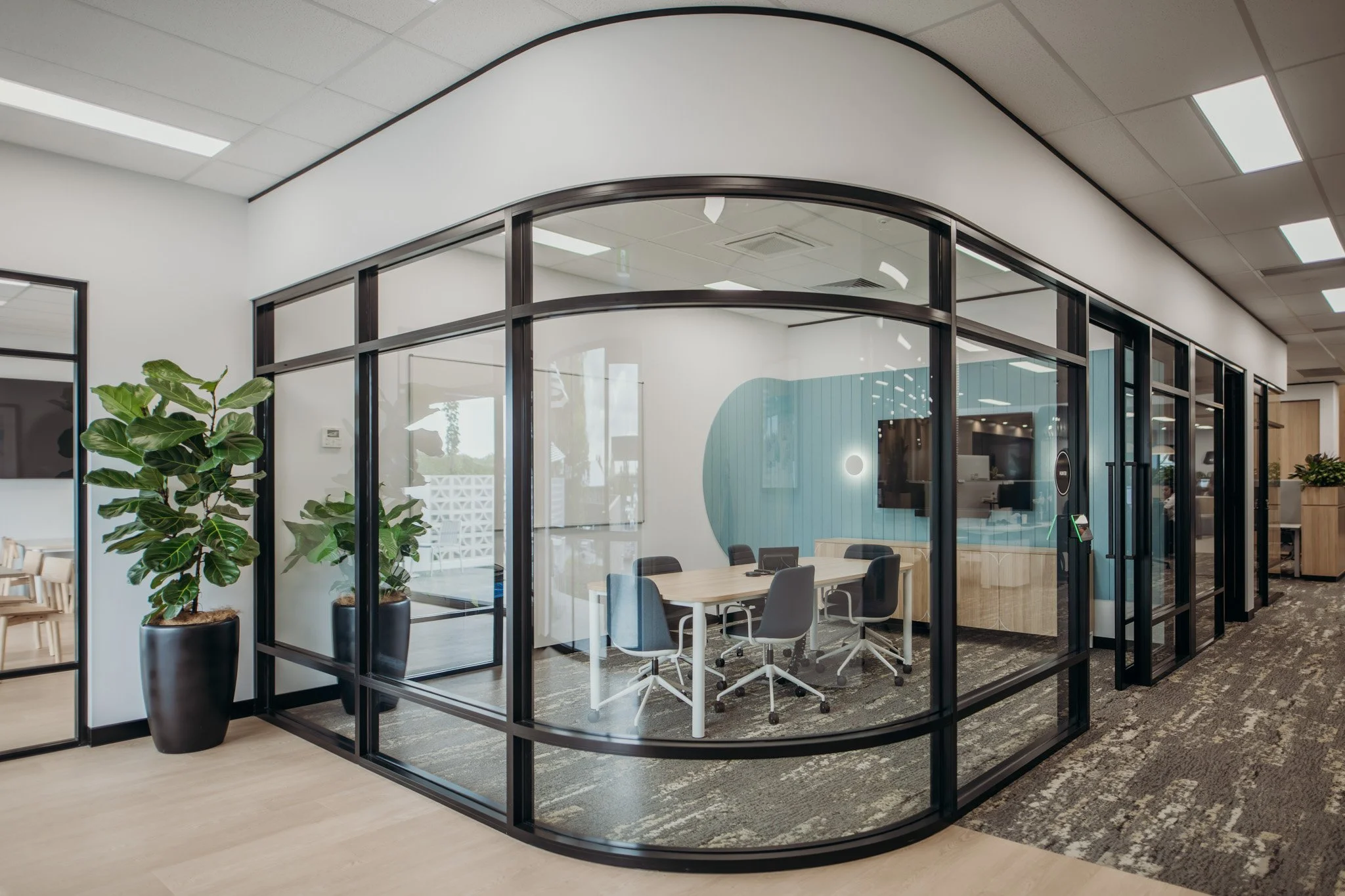 Modern office conference room with glass walls, a wooden conference table, black chairs, and indoor plants in large black pots.