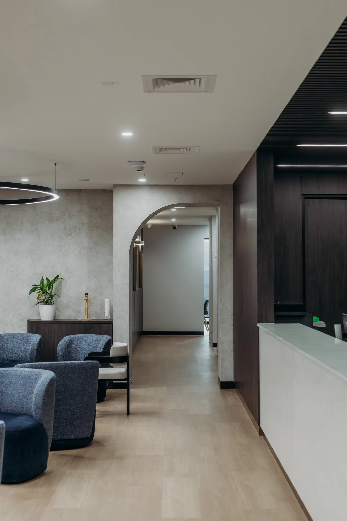 Modern interior lounge area with grey armchairs, a white counter, a potted plant, and a hallway with an arched doorway.