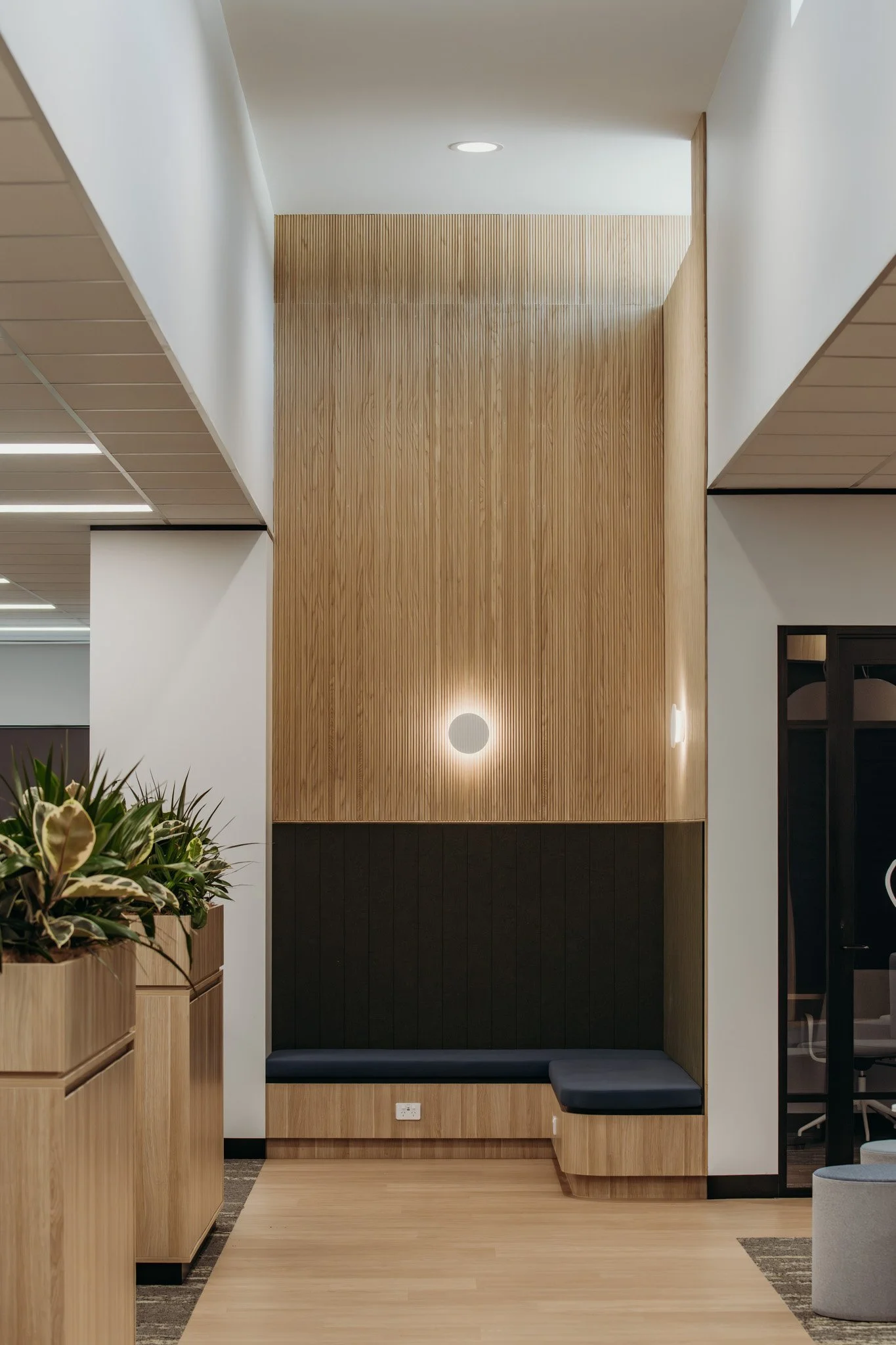 Modern interior space with wooden panels, a built-in navy cushioned bench, plants, and lighting fixtures.