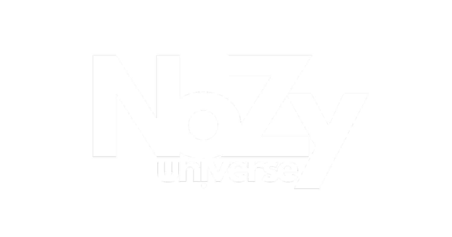 NoZy Universe