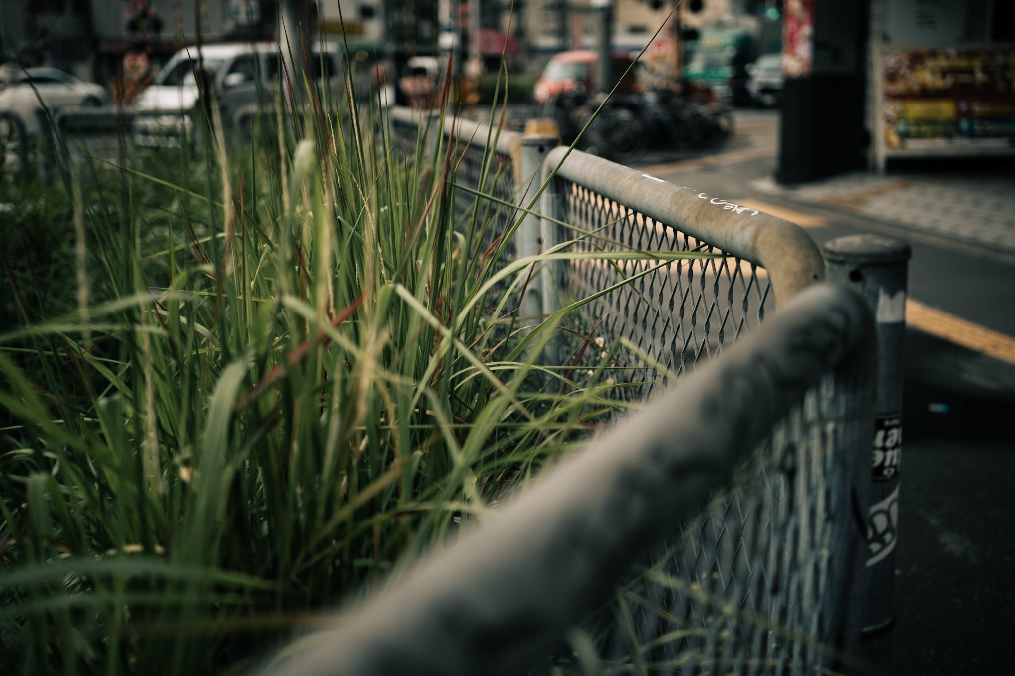 都市の駐車場のフェンス越しに見える草と道路の景色