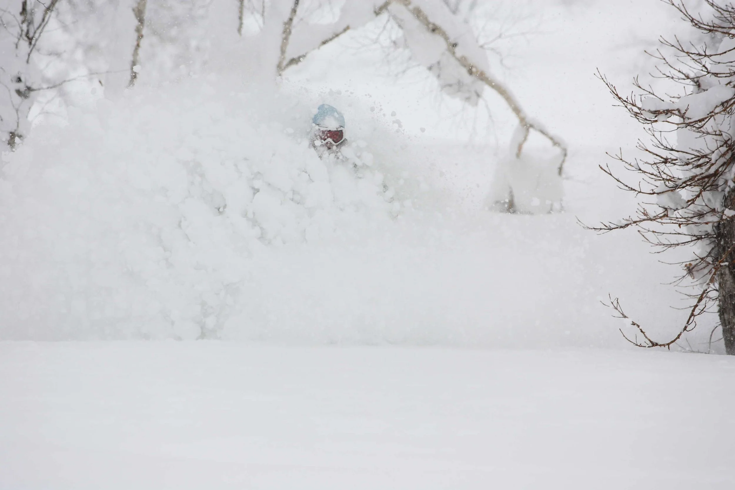 A skier wearing a helmet and goggles skiing through deep snow under snow-covered trees and branches in a winter landscape.