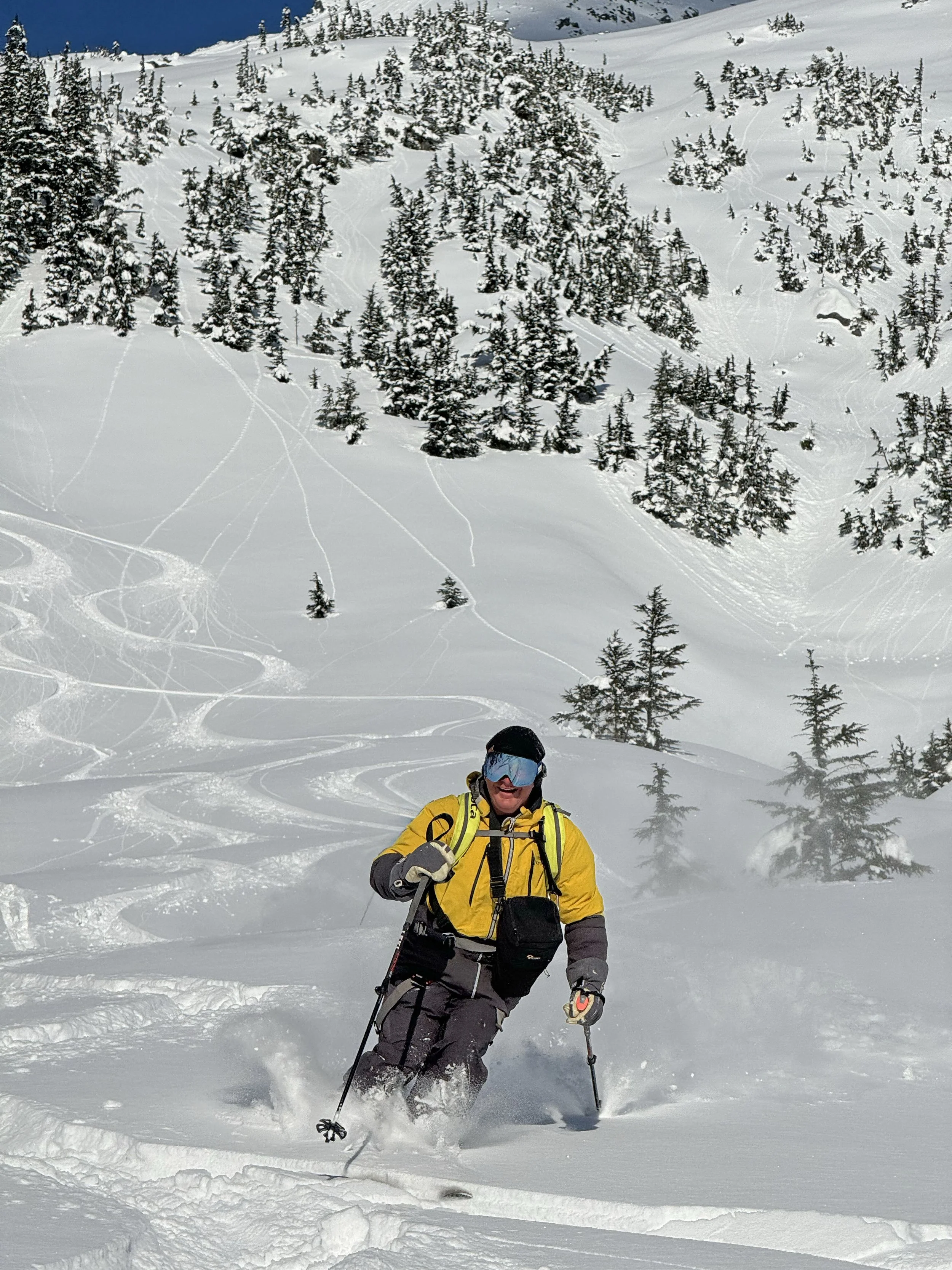 A person skiing on a snowy mountain slope surrounded by snow-covered trees and a clear sky, wearing a yellow jacket, black pants, and ski goggles.