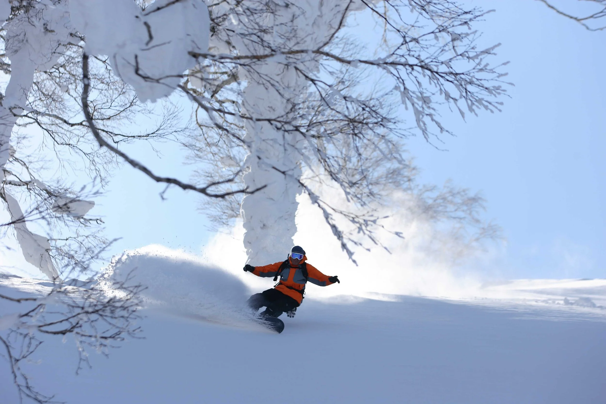 A person in an orange and black winter jacket snowboarding down a snowy slope in a winter forest, with snow-covered trees and a clear blue sky in the background.