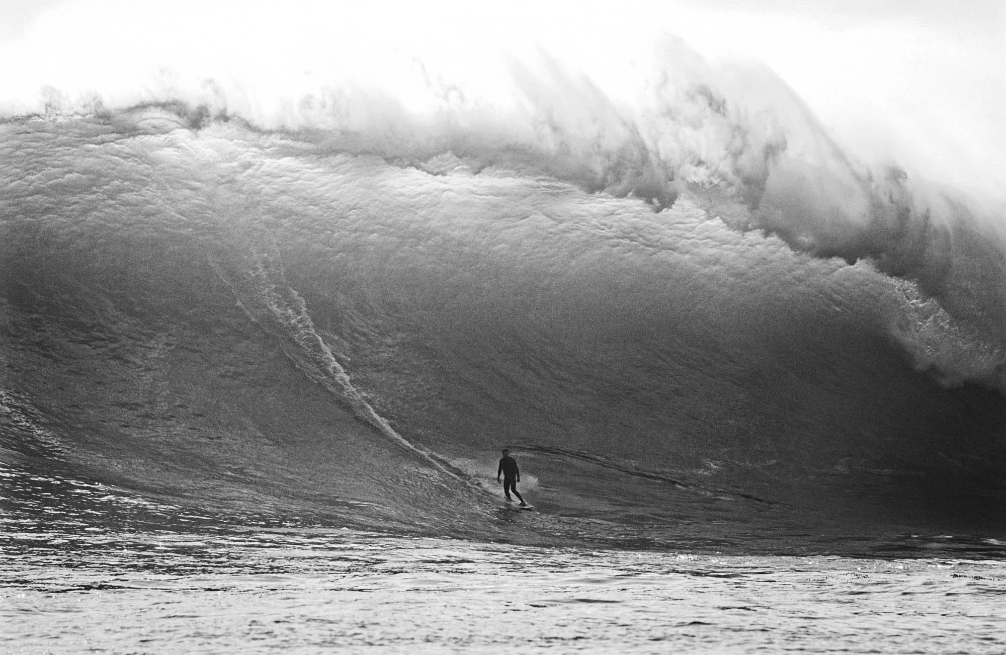 Ken "Skindog" Collins, Ghost Trees California