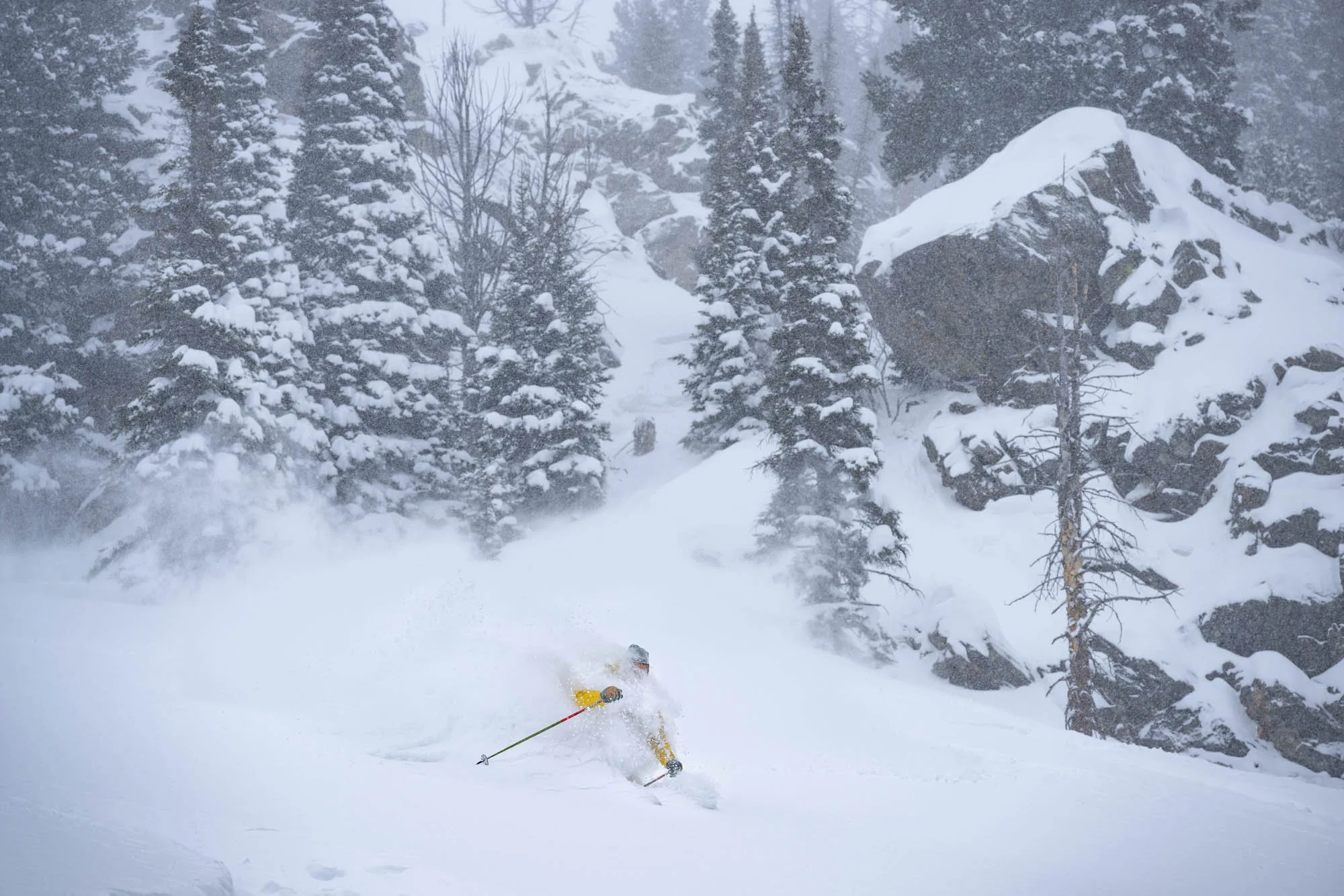 Shroder Baker, Jackson Hole, Wyoming