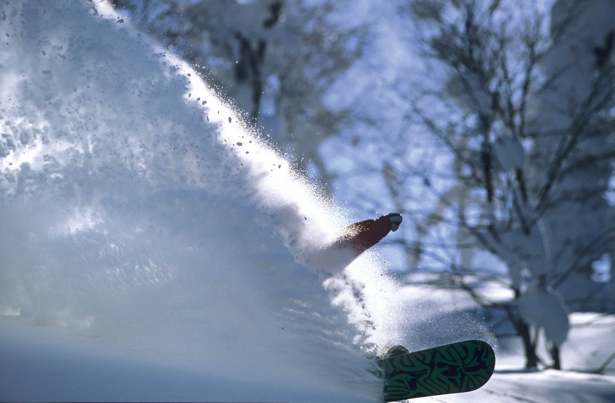 Close-up of a skier carving through snow, kicking up a spray of snow and ice, with snow-covered trees in the background.