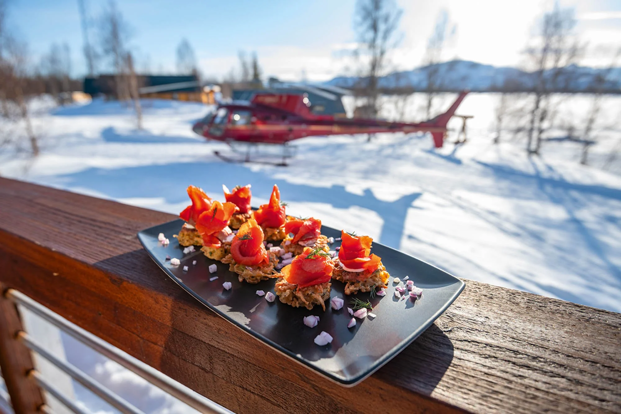 Tordrillo Mountain Lodge, Alaska