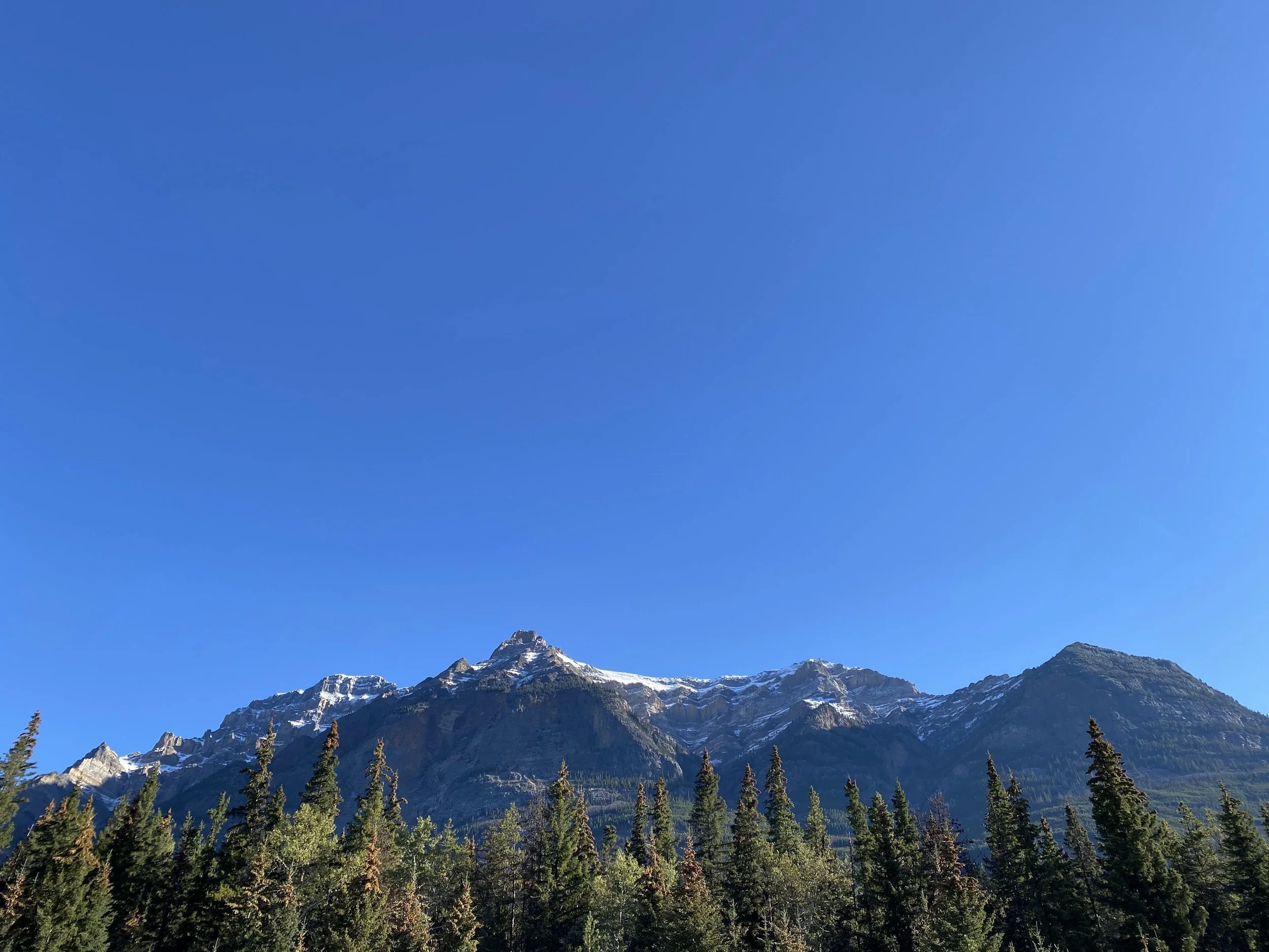 IMG_8061.jpeg