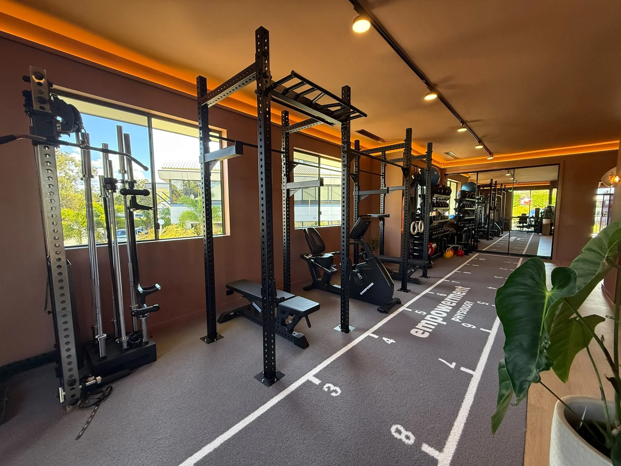 Indoor gym with fitness equipment including pull-up bars, kettlebells, and dumbbells, with a patterned floor resembling a running track, large windows allowing sunlight in, and potted plants in the foreground.