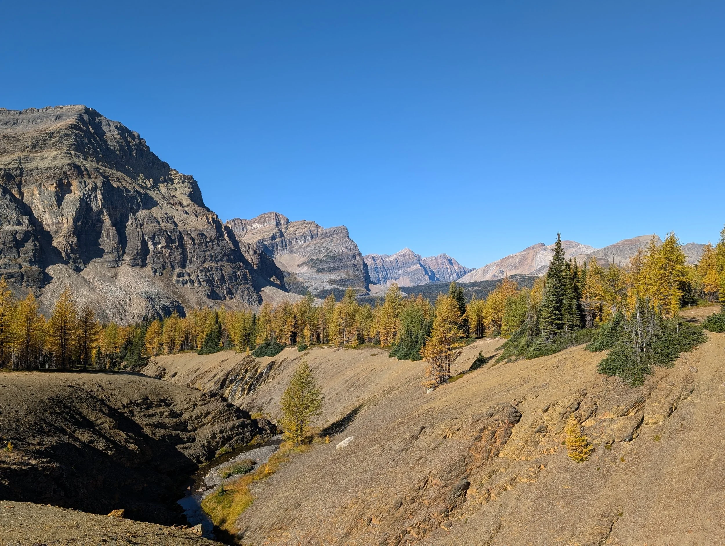 Mountain landscape with rugged cliffs, pine trees, and a dry riverbed in the foreground under a clear blue sky.