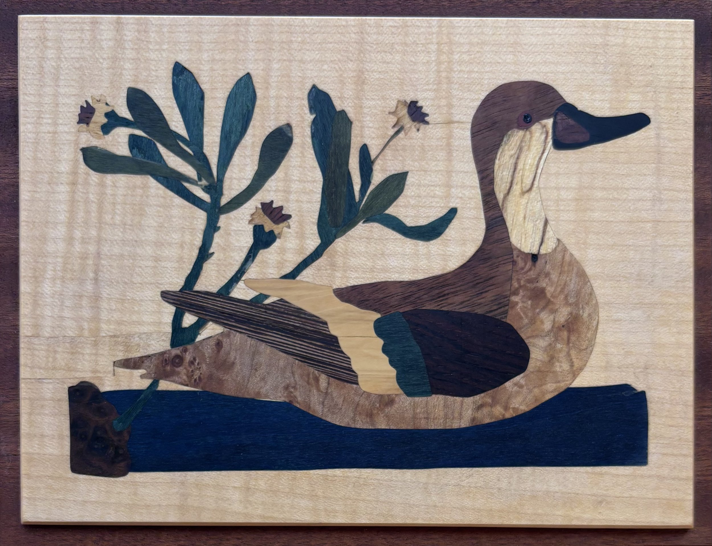 Duck, 2022, 12"x6", Wood and Dyed Veneers, Inspired by Mark Catesby