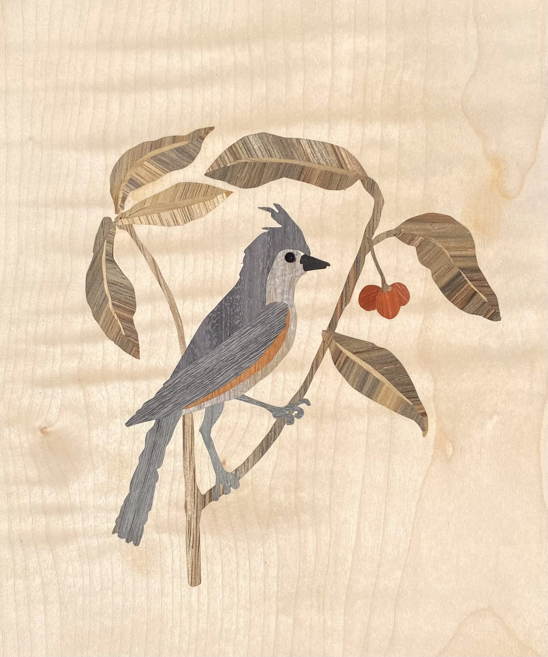 Birdie, 2024, 8"x12", Wood, Inspired by Mark Catesby