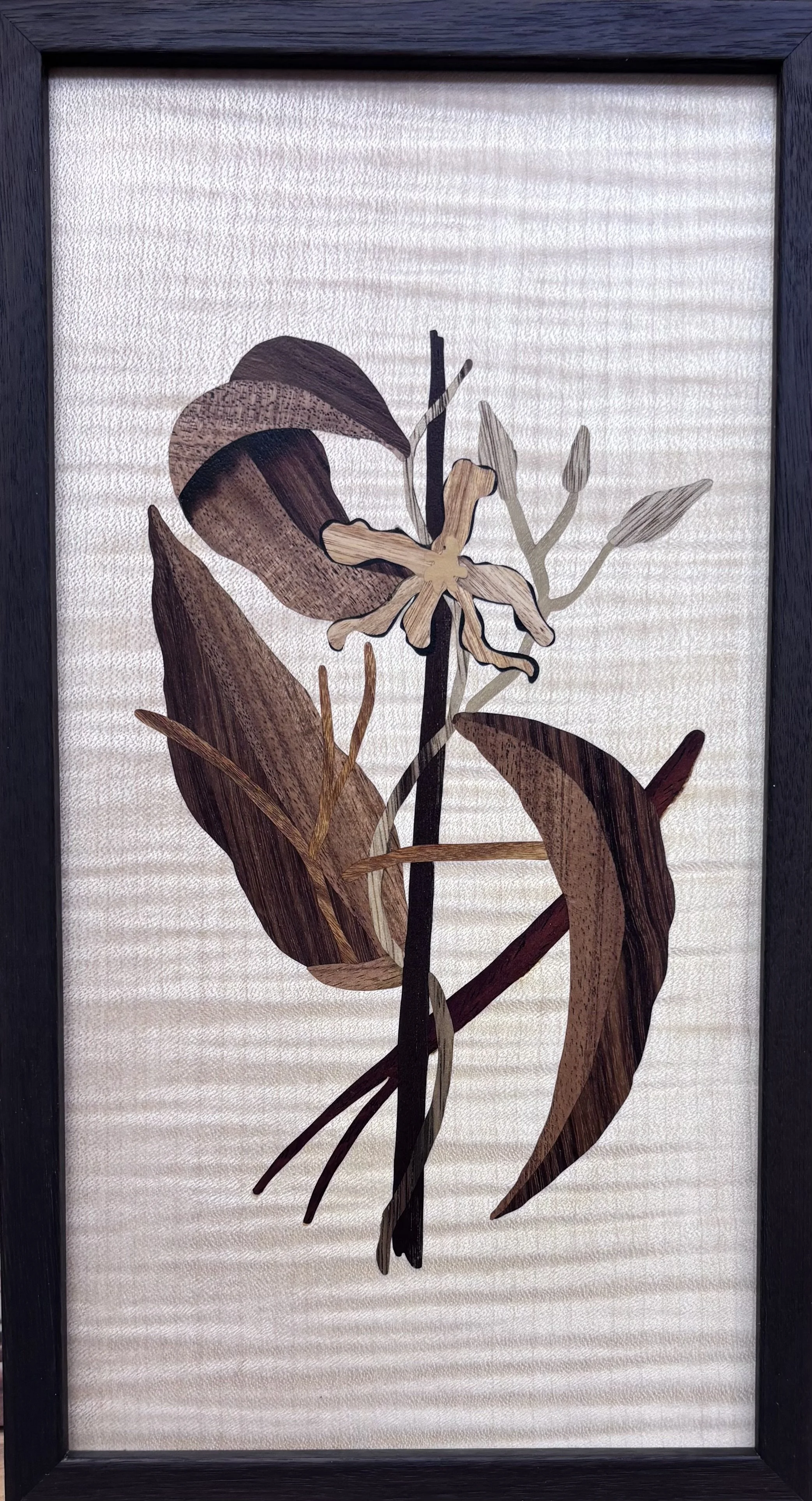 Vanilla Plant, 8'x14'", Wood, Inspired by Mark Catesby
