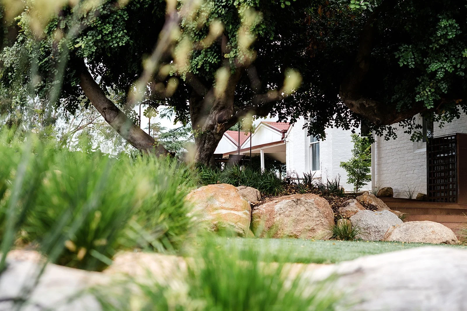 Commercial landscape photography of mature trees, natural stone and layered planting surrounding a heritage building.