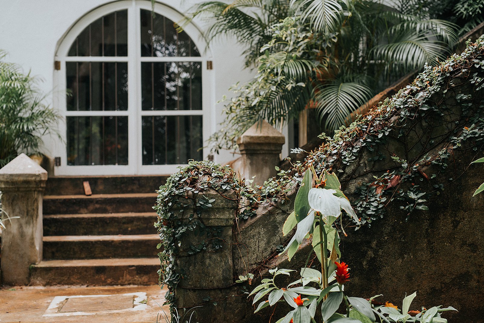 Tropical courtyard where planting frames traditional architecture and entryways.