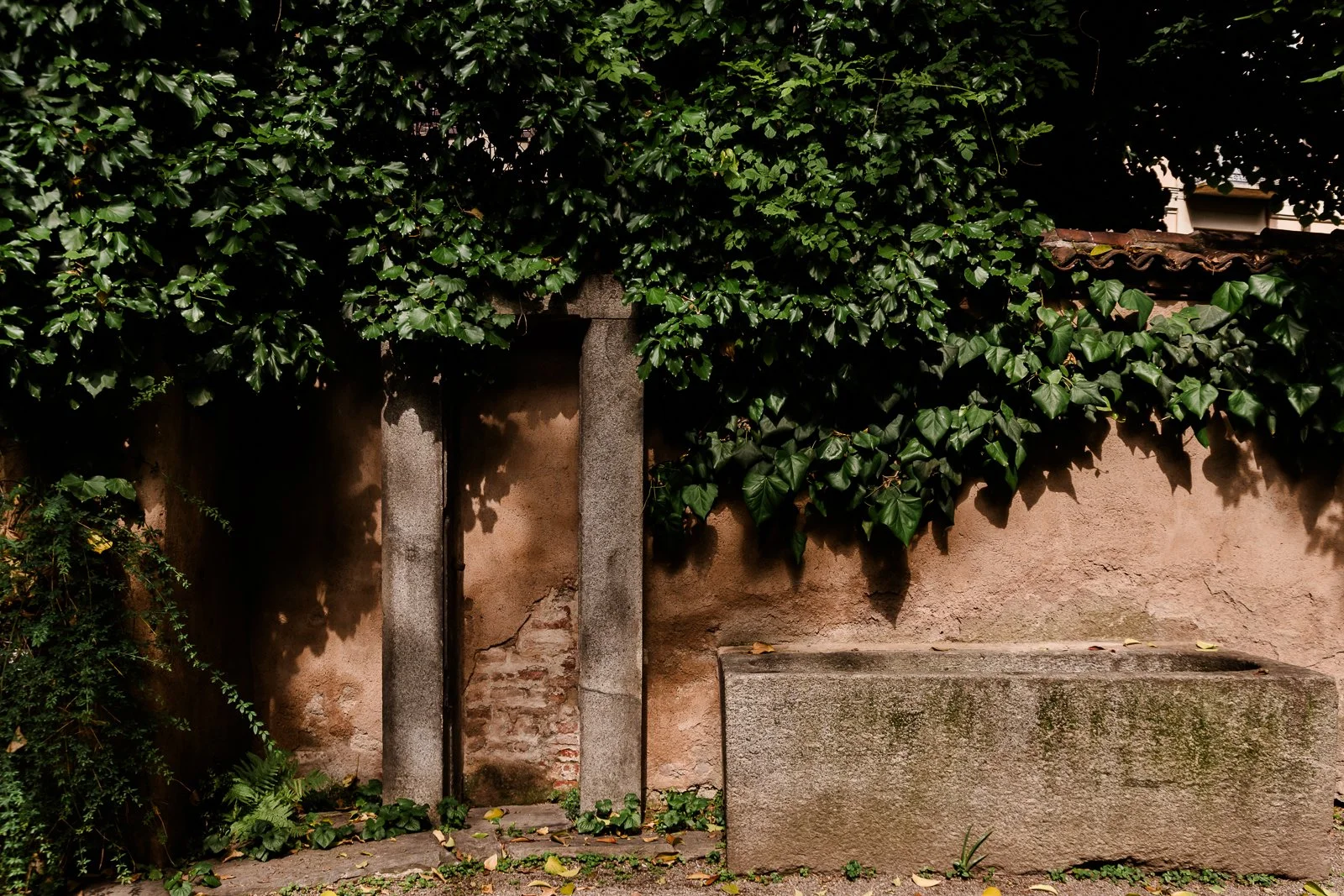 Ancient stone pillars partially hidden by ivyremain in a quiet garden corner photographed to showcase detail and landscape design.