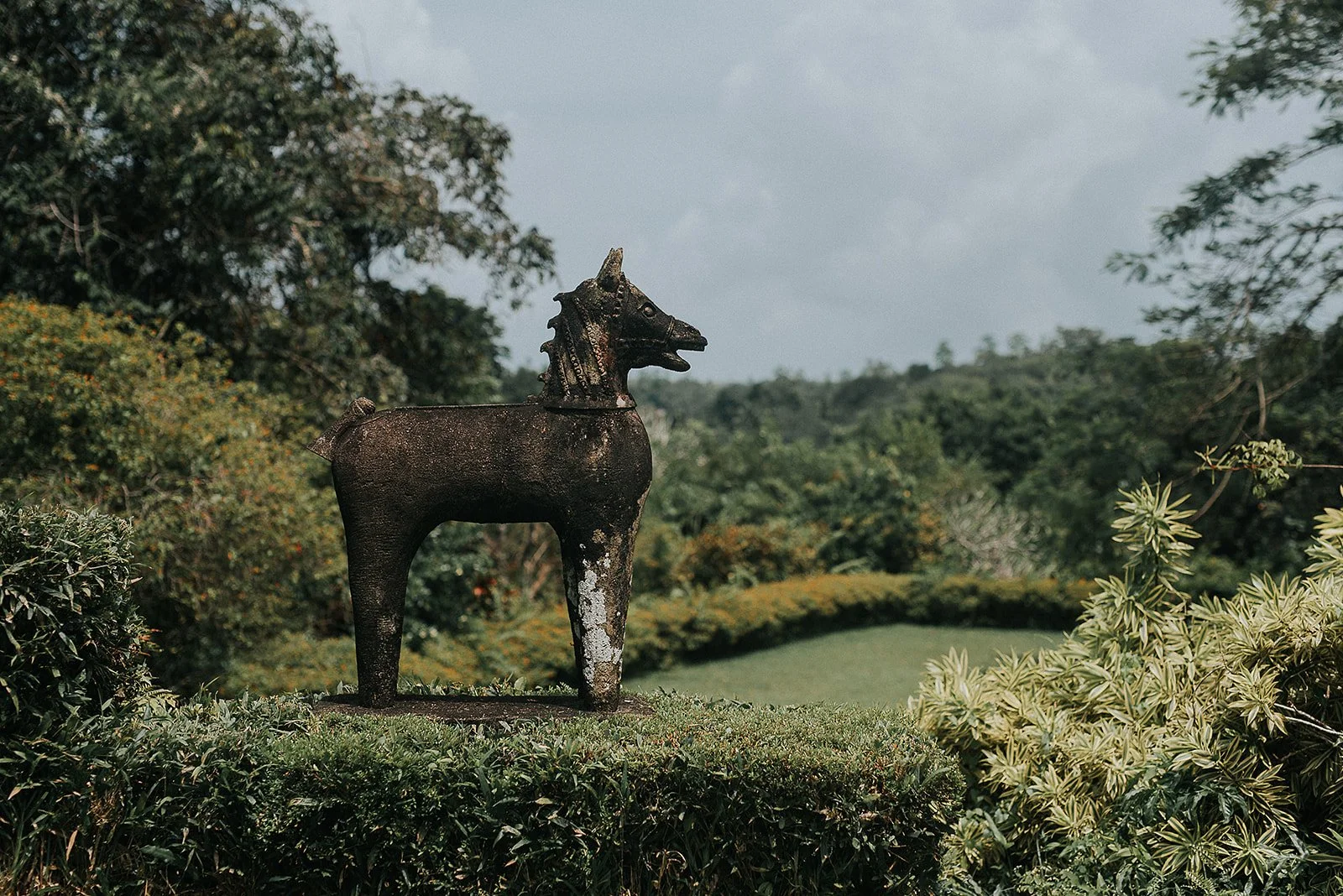 Stone sculpture surrounded by tropical planting photographed within a Sri Lankan historic garden.