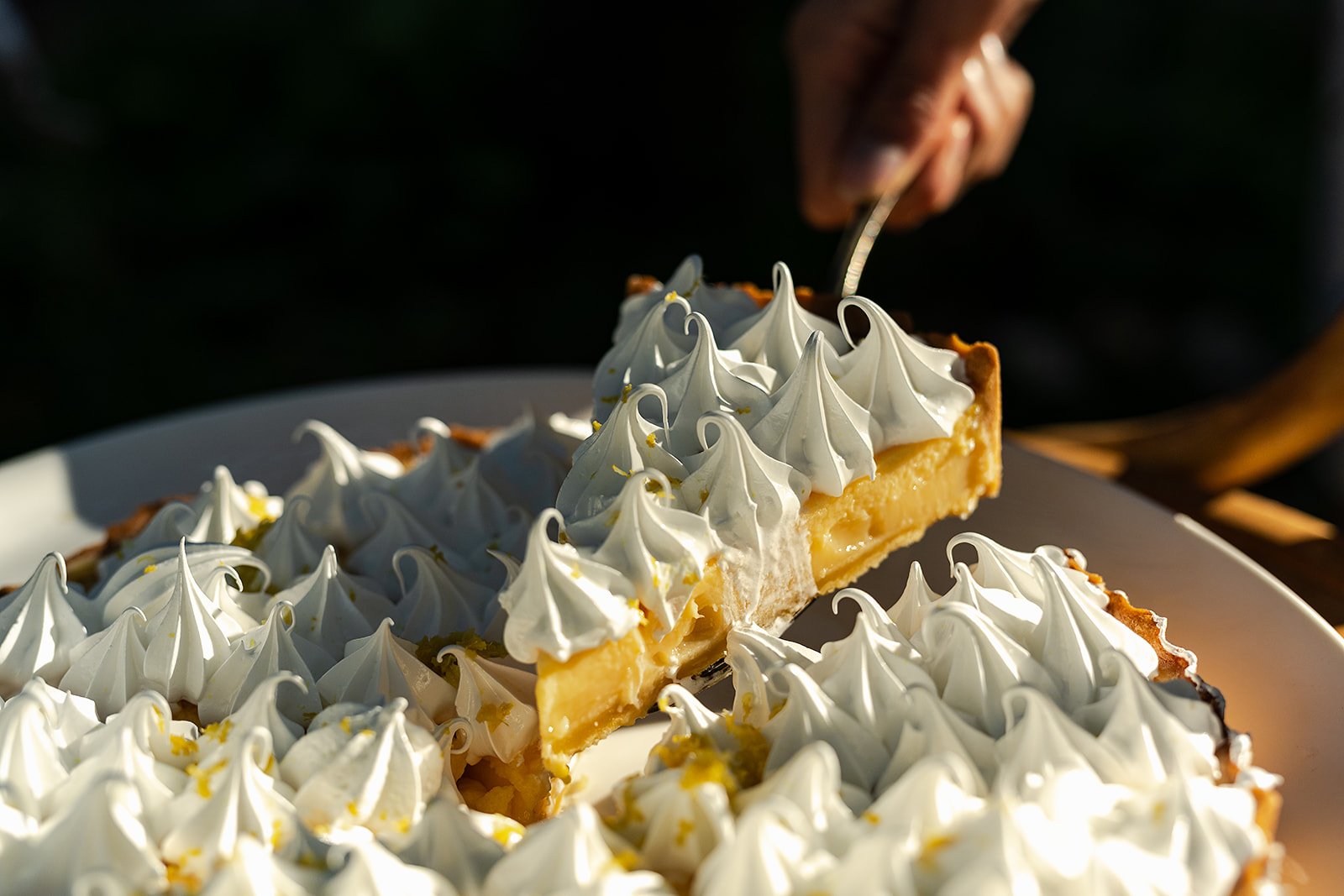 Pinchos_Picnic_To_Party___@bygeorge_photo164October 09, 2024_websize.jpg