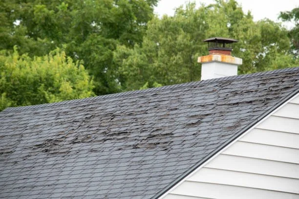 Close-up of a house roof with black shingles, some of which appear dirty or stained, and a white chimney with a black cap, surrounded by green trees.