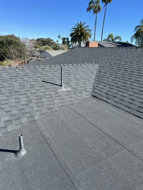 View of a rooftop with asphalt shingles, palm trees, and a clear blue sky in the background.