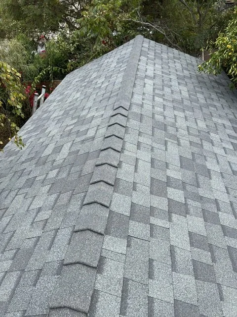 View of a gray asphalt shingle roof with a ridge at the top, surrounded by trees and greenery.