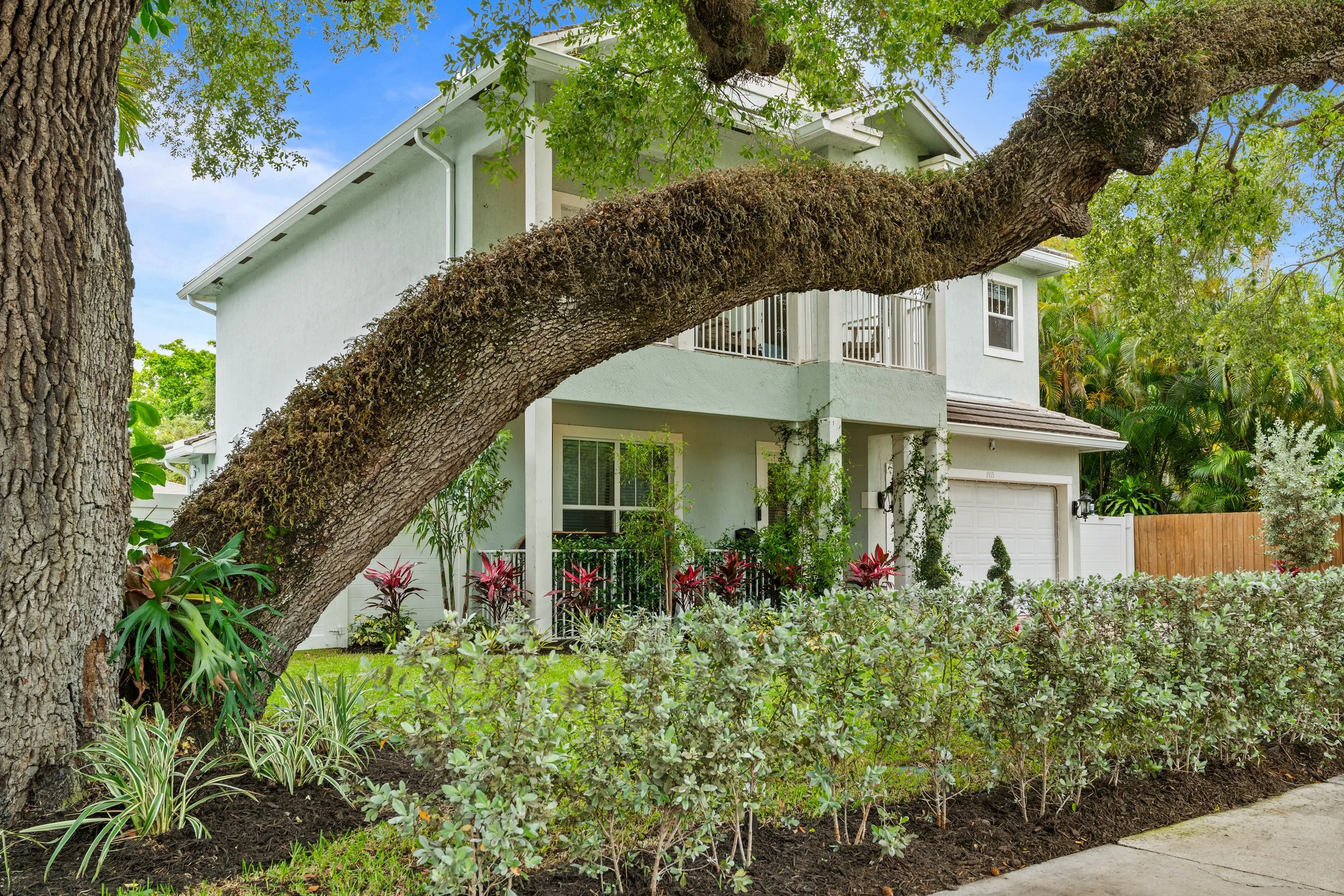A large tree with thick branches and textured bark in front of a house, with green leaves and a well-maintained garden in the yard.