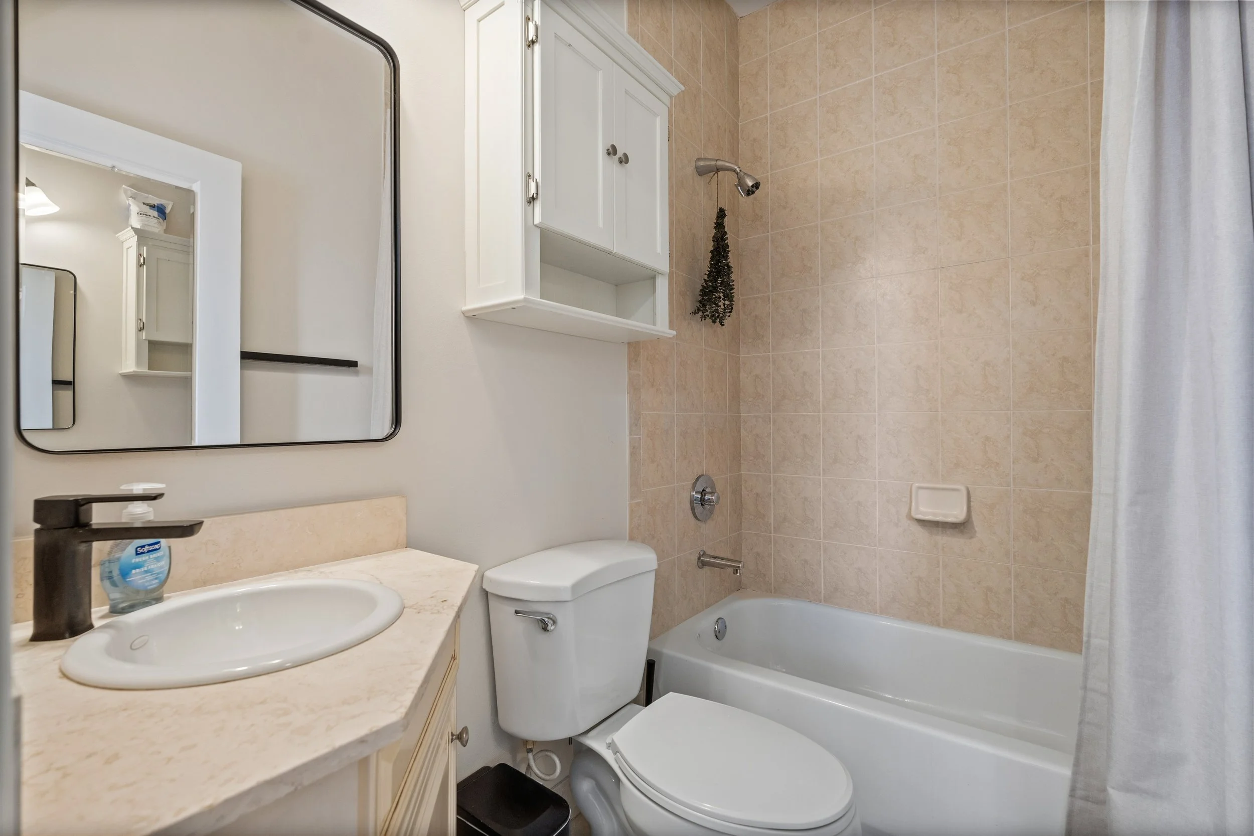 Small bathroom with vanity, mirror, toilet, bathtub, soap, and a hanging plant.