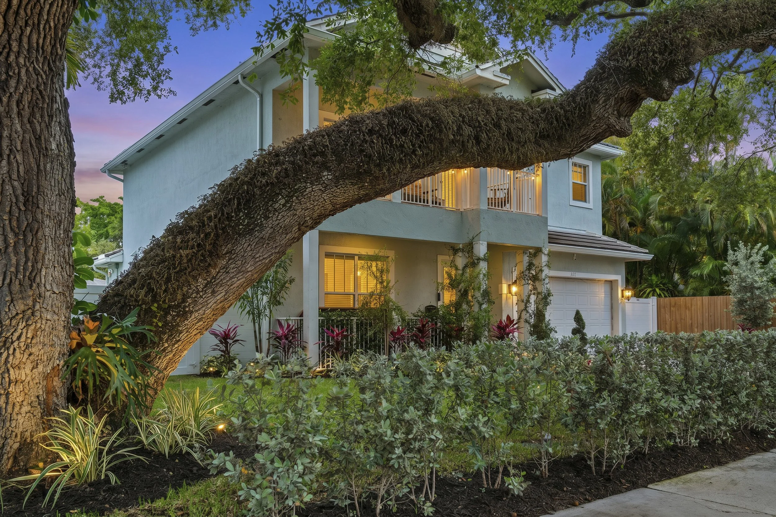 A large tree with a thick trunk and sprawling branches in the front yard of a two-story house, with lush greenery and flowering plants around.