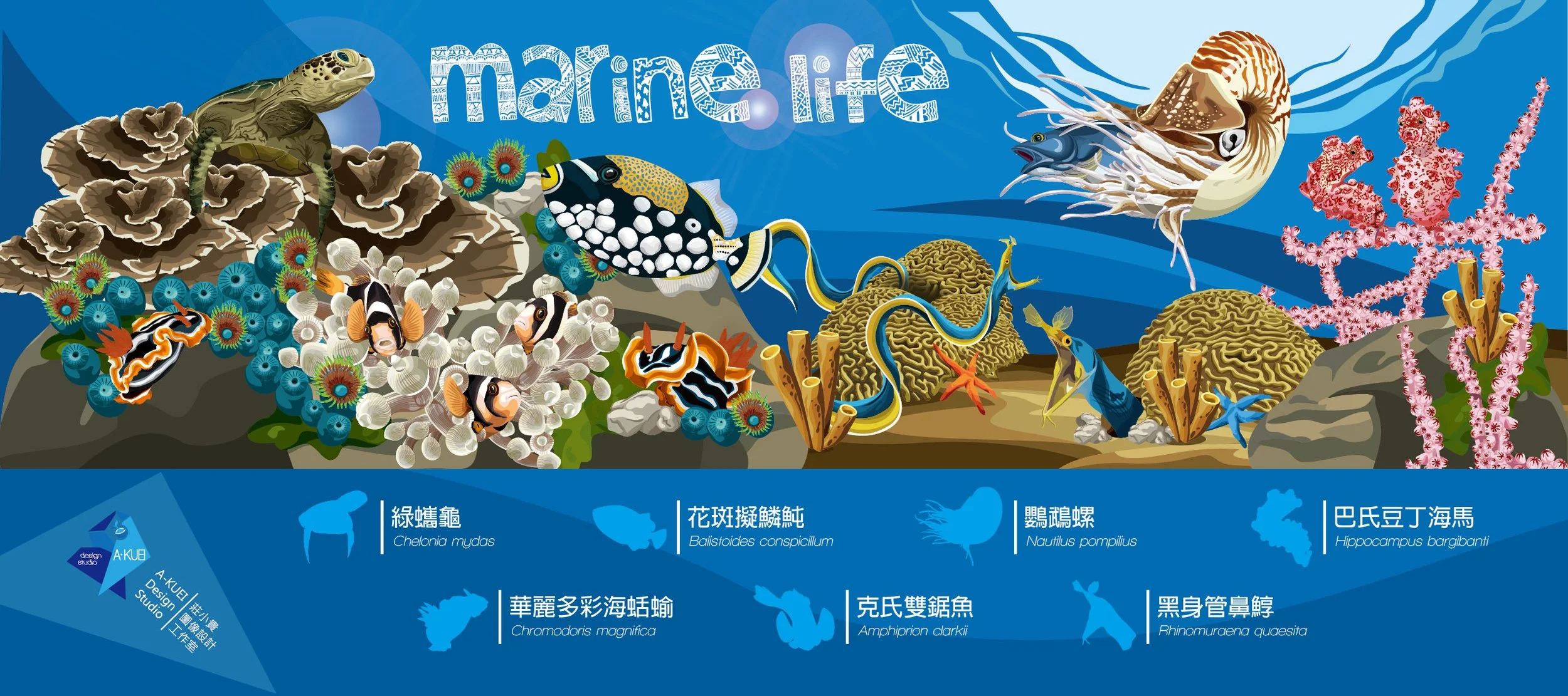 Illustration of various marine life, with the title "marine life" at the top. Includes fish, sea turtles, coral, and other ocean creatures, along with their scientific names in Chinese and English.