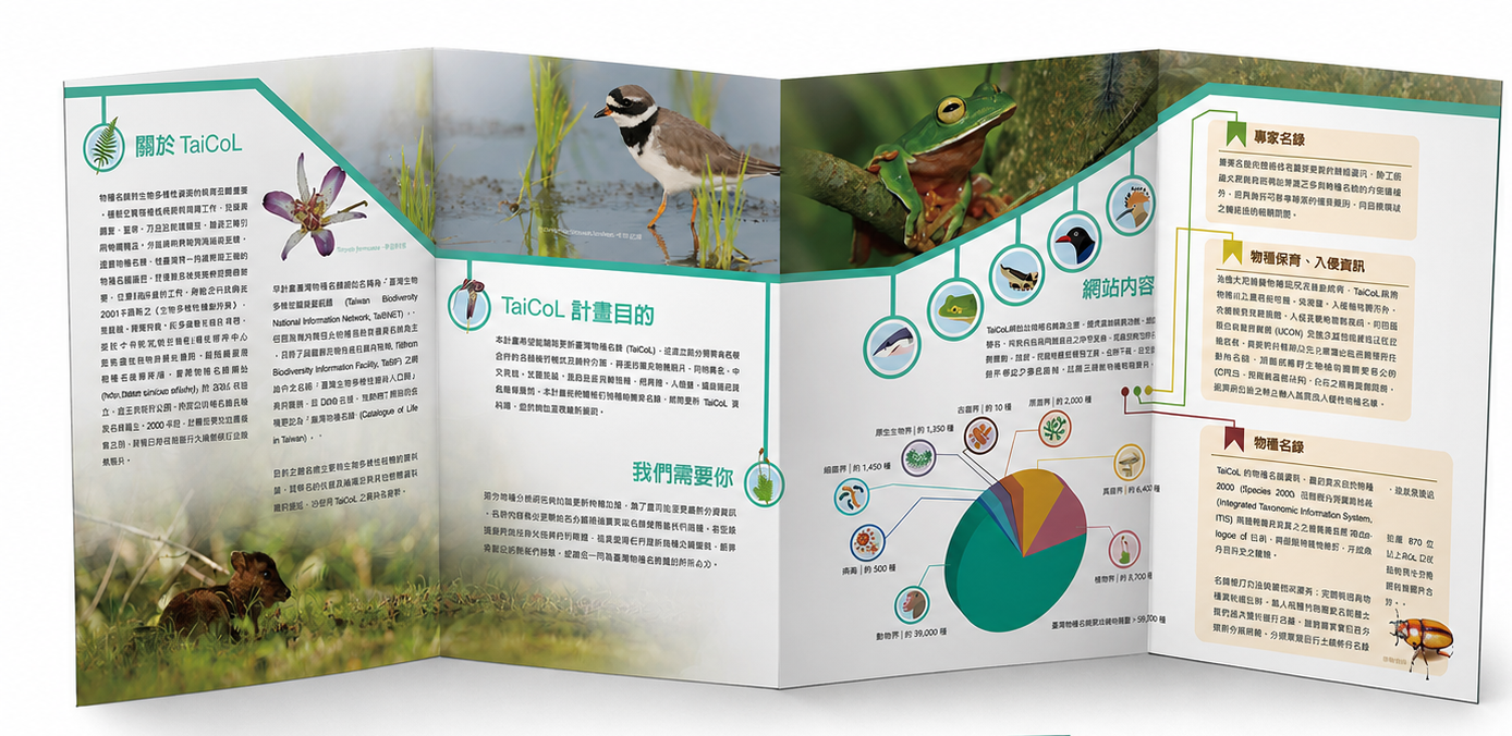 學術海報與文創摺頁