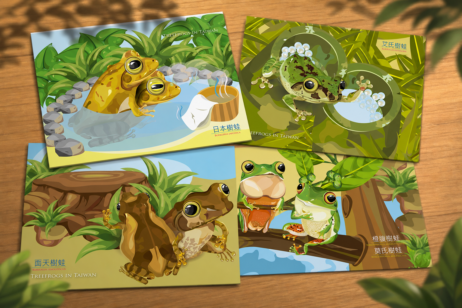 Collection of colorful illustrated postcards featuring frogs in Taiwan, with each postcard depicting different frog species in their natural habitats.