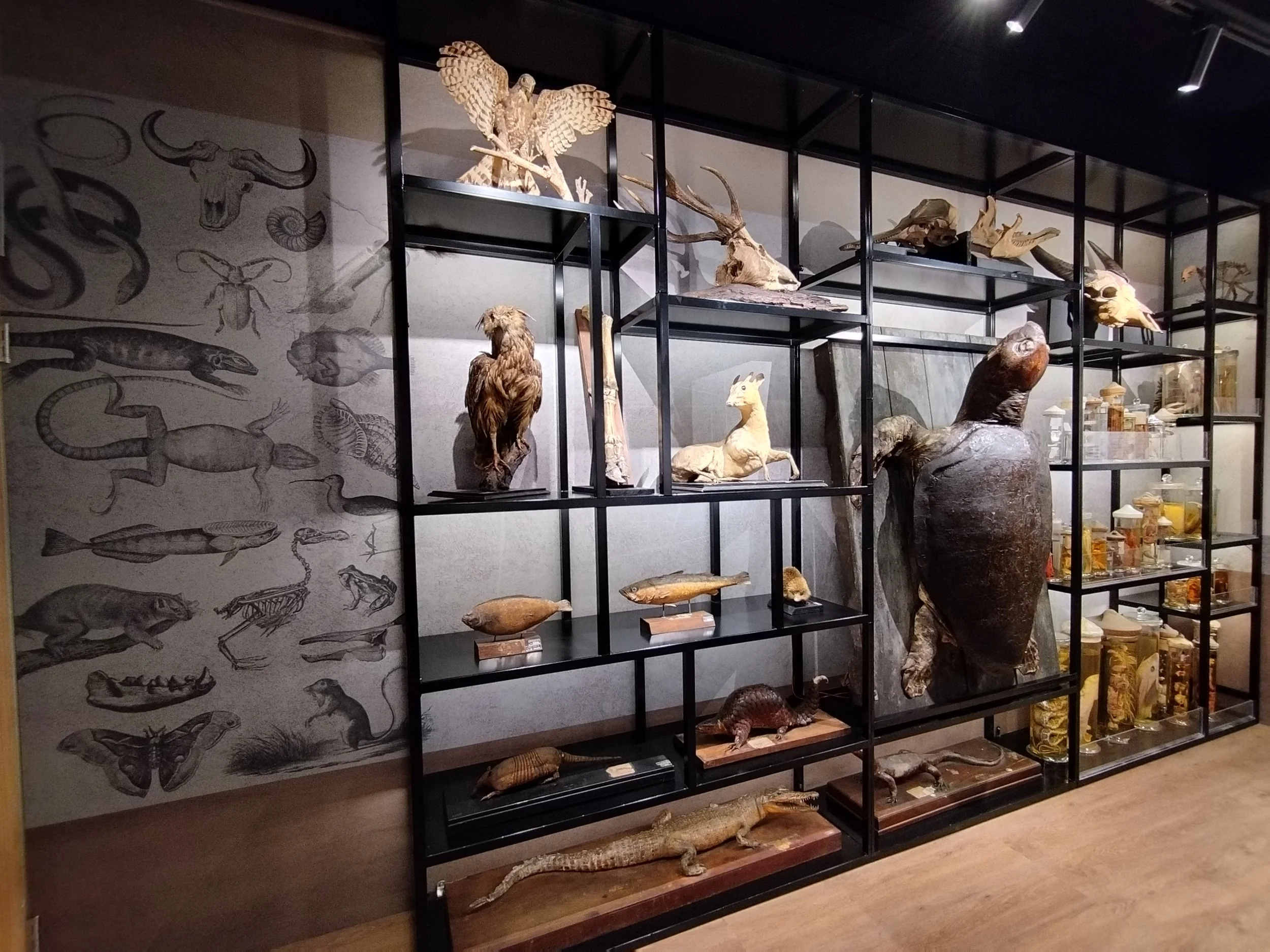 博物館與大型實體展覽壁板