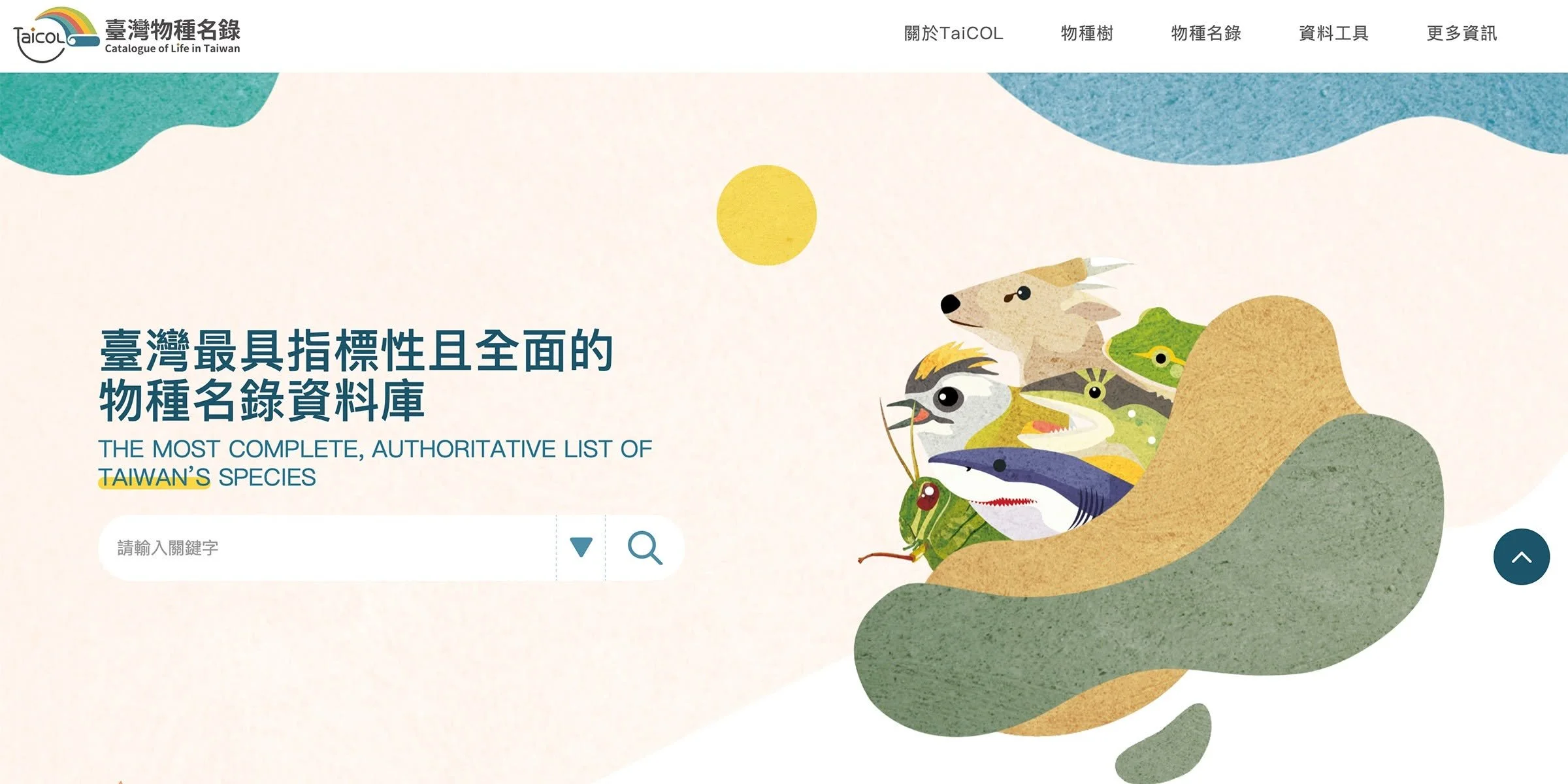 數位媒體網站主視覺