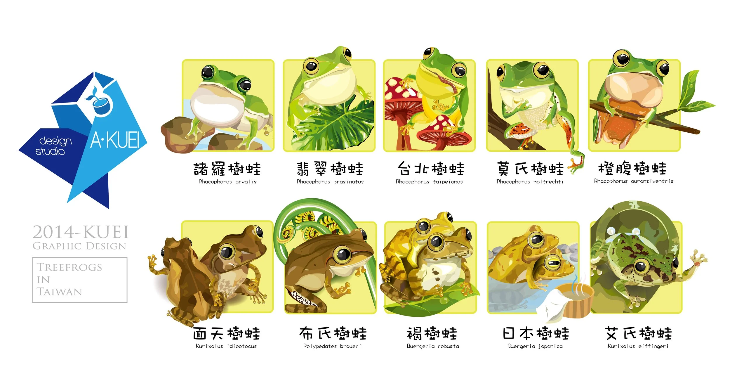 Illustration of various tree frogs from Taiwan, showing different species with their scientific names and Chinese labels.